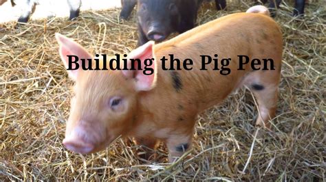 How to find the Pig Pen .